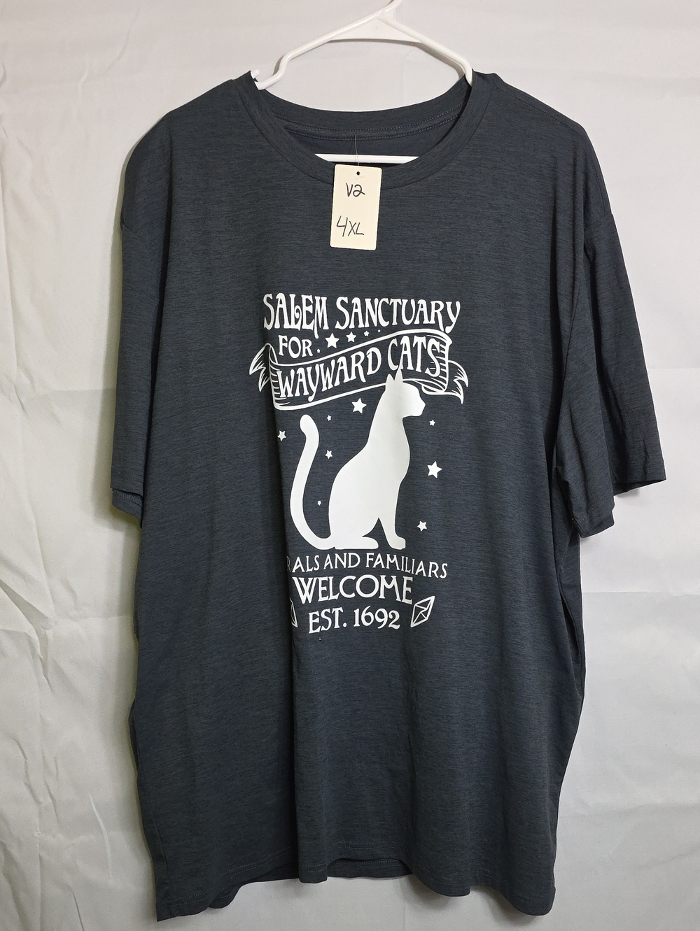 Halloween Salem Sanctuary For Wayward Cats Graphic Tee Dark Gray 4XL (W716)